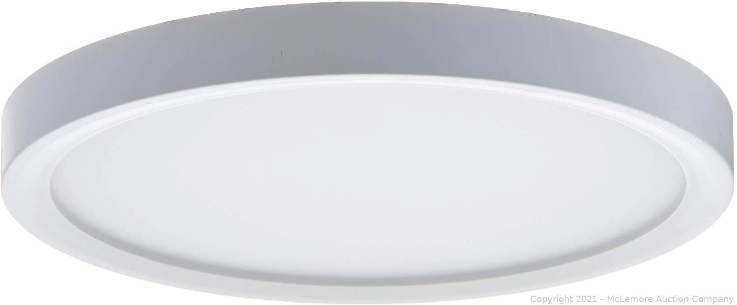 McLemore Auction Company Auction Knives, Paddleboards, Diapers