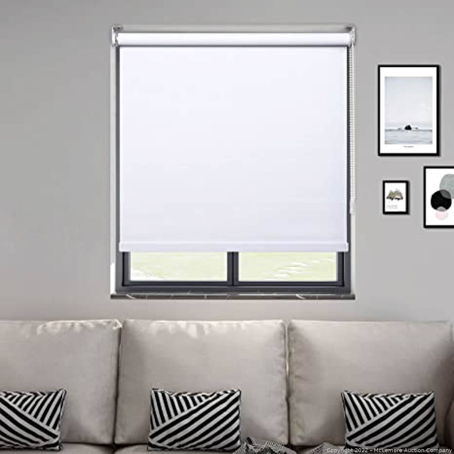 McLemore Auction Company Auction Personal Hygiene, Toys, Bathroom