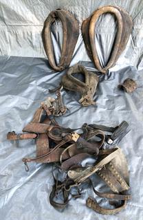 Harness Parts for Horses