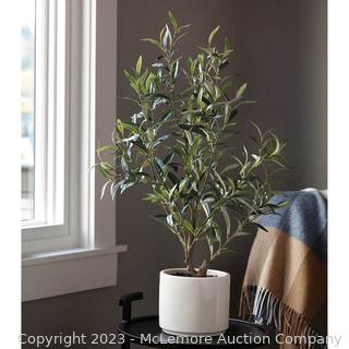 Faux 30" Olive Plant by CG Hunter - Modern Cream Planter - 18"L x 18"W x 30"H;Weight:2 lbs. - 9 branches with leaves made of premium plastic like material, wire stems for shaping -Comes in clean, modern planter that provides stability, and will blend with any decor  - $62 - SEE LINK (New)