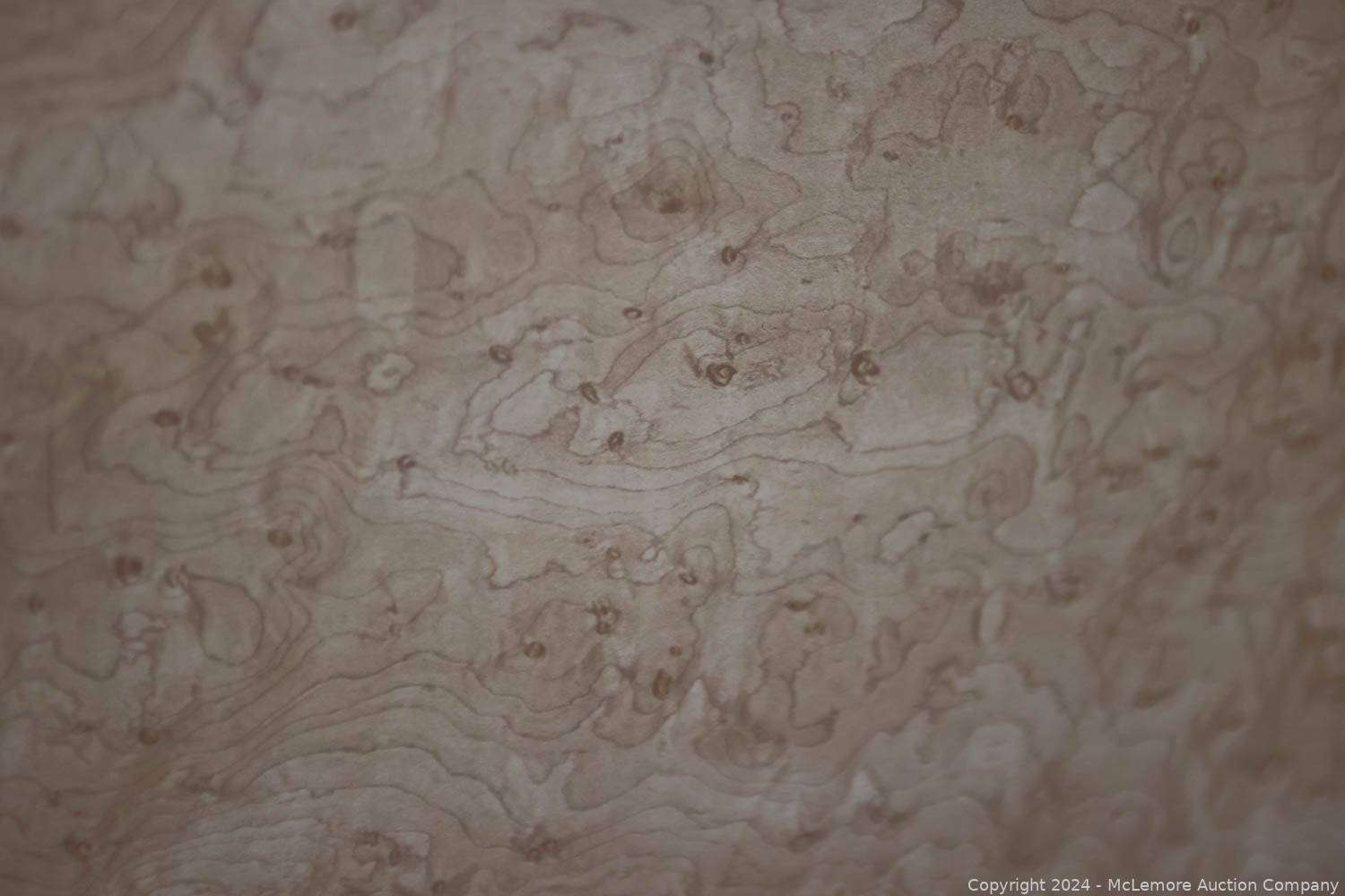 McLemore Auction Company Auction Columbia Liquidation Event