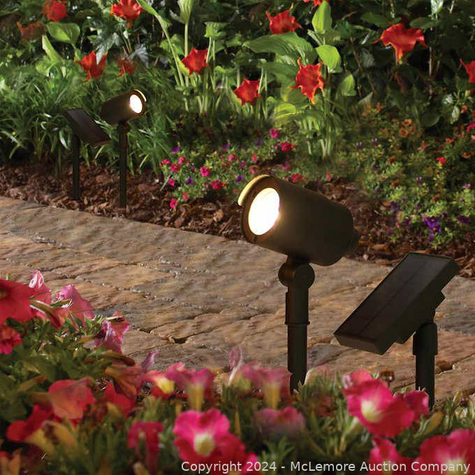 McLemore Auction Company Auction Essentials from the Wholesale Club