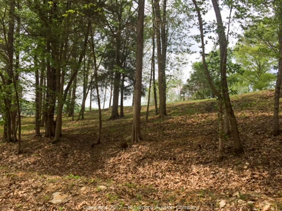 McLemore Auction Company Auction 1 Waterfront and 1 Waterview