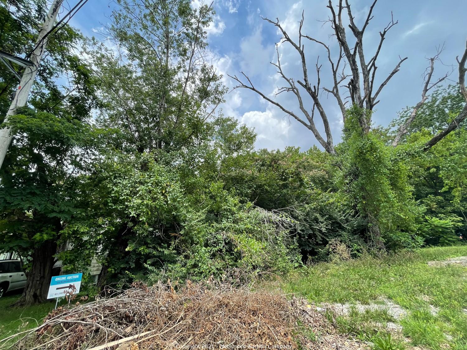 McLemore Auction Company Auction Three Building Lots and a Building