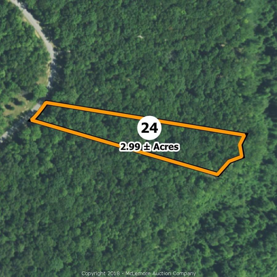 McLemore Auction Company Auction 34 Building Lots in Eagle Bluff