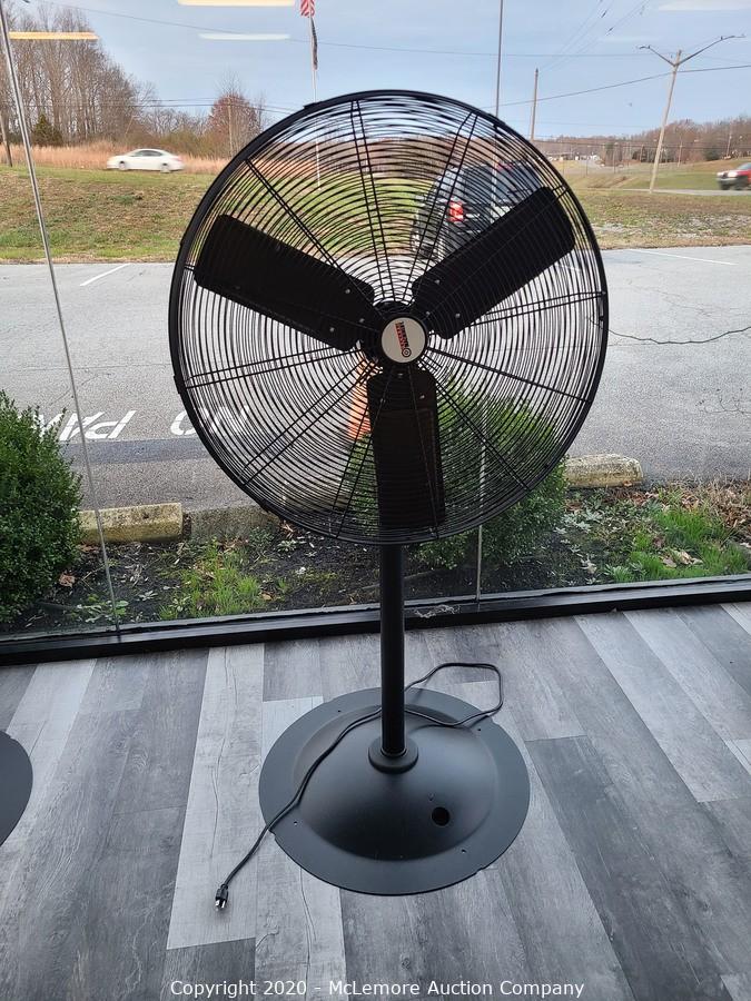 Adjustable Pedestal Fan