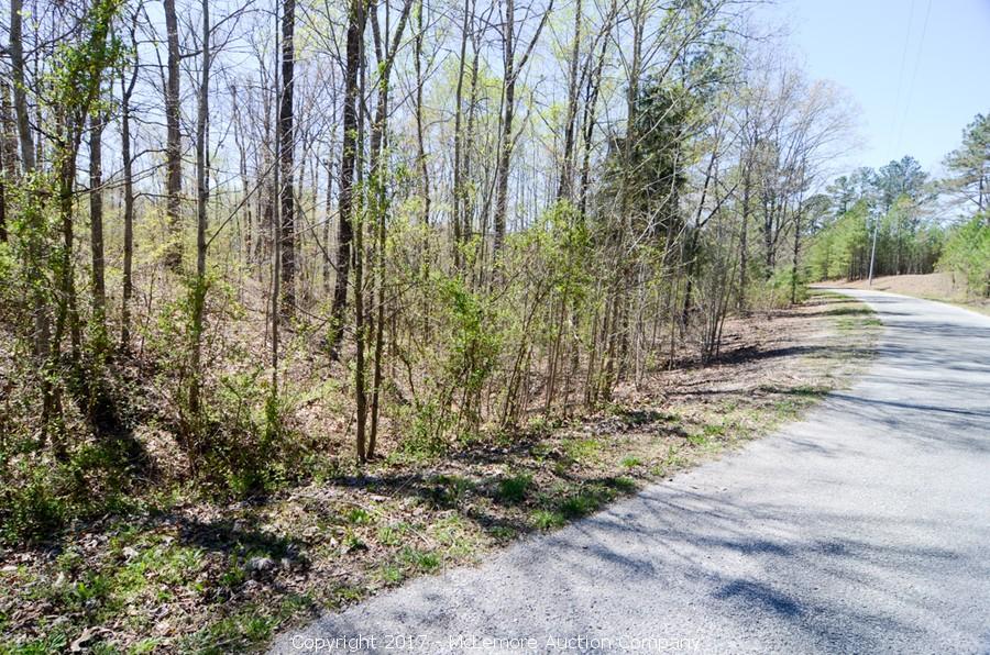 McLemore Auction Company Auction 870± Acres in 26 Tracts and 36 Building Lots near Paris