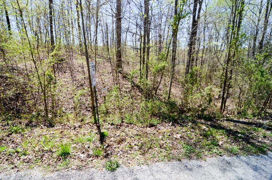 McLemore Auction Company Auction 870± Acres in 26 Tracts and 36