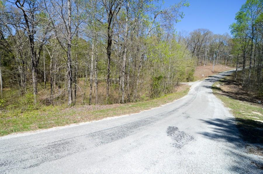 McLemore Auction Company Auction 870± Acres in 26 Tracts and 36 Building Lots near Paris