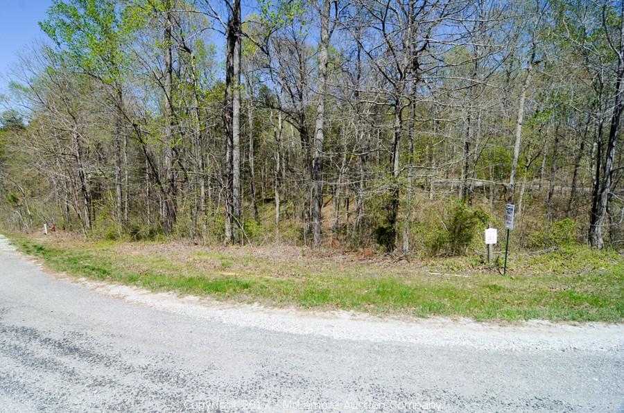 McLemore Auction Company Auction 870± Acres in 26 Tracts and 36