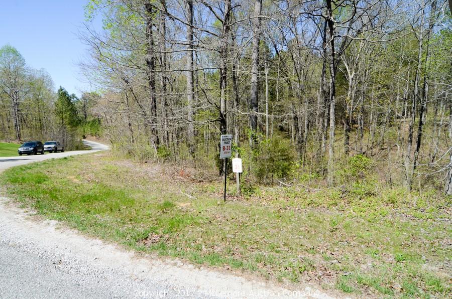 McLemore Auction Company Auction 870± Acres in 26 Tracts and 36