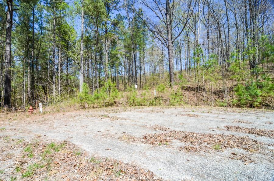 McLemore Auction Company Auction 870± Acres in 26 Tracts and 36 Building Lots near Paris